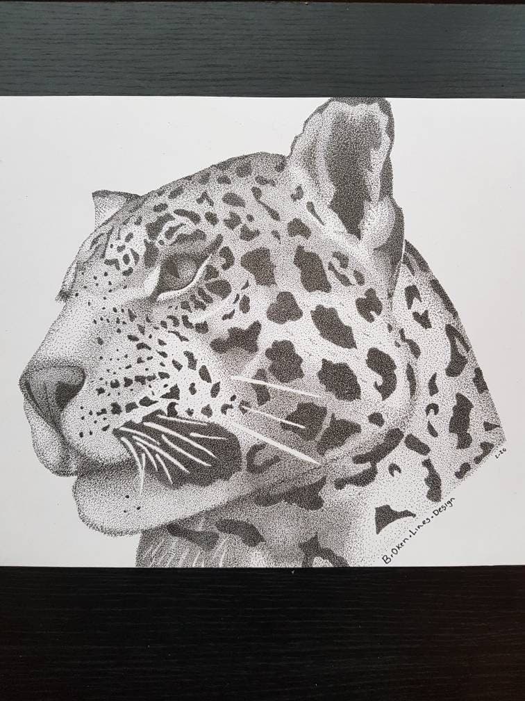 Jaguar Big Cat Art Print.