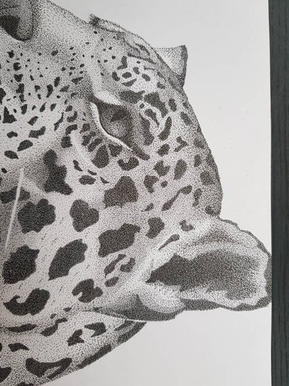 Jaguar Big Cat Art Print.