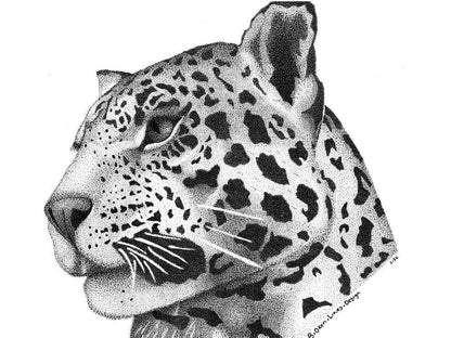 Jaguar Big Cat Art Print.