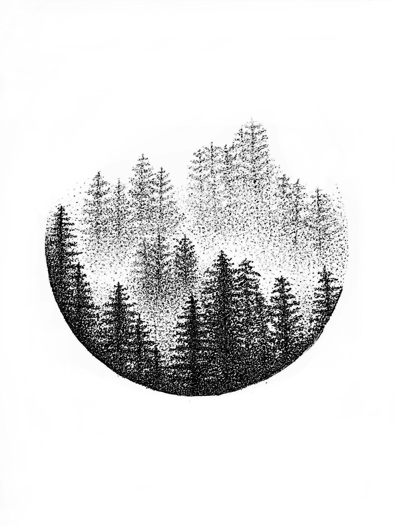 Misty Forest Art Print.